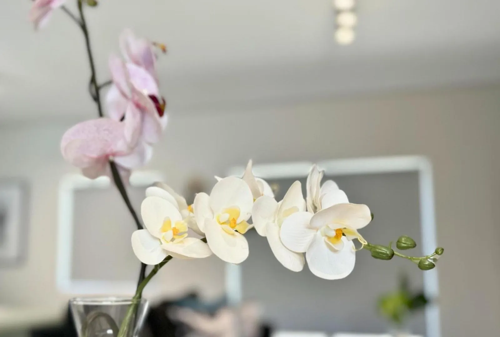 Obs Centre Luxe Loft Apartment Cape Town